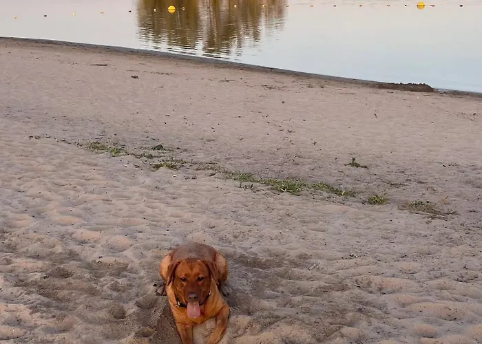 Marina Strandbad Inselperle Mit Zaun & Airco Nr 84 Olburgen